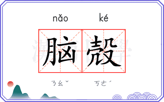 脑殻
