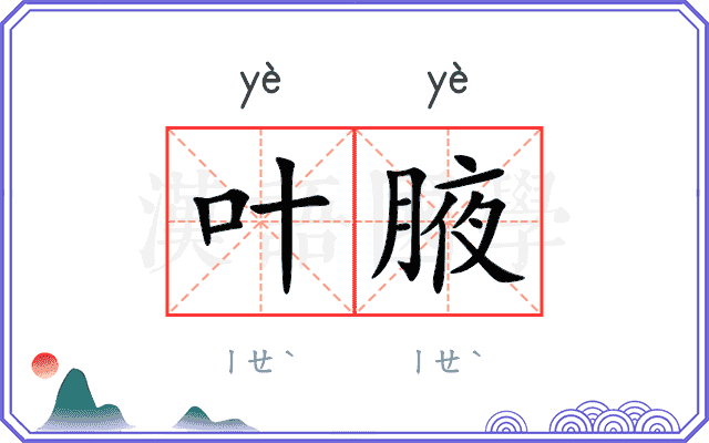 叶腋