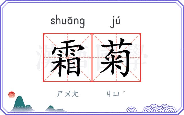 霜菊