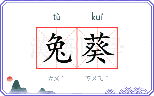兔葵