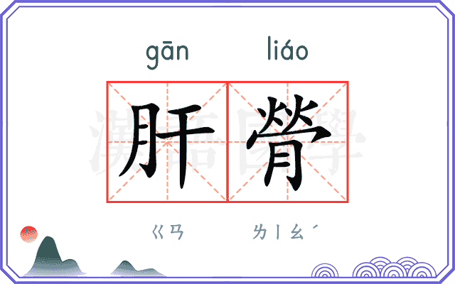 肝膋