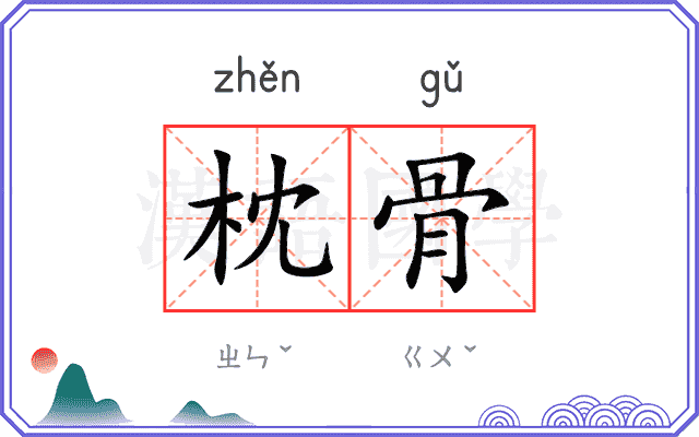 枕骨