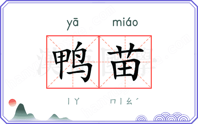 鸭苗