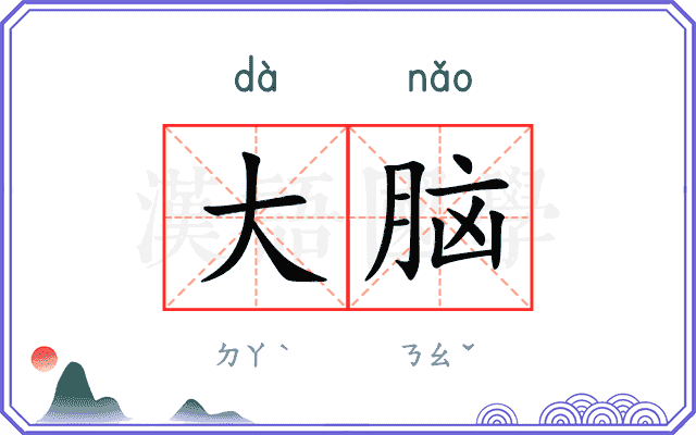 大脑
