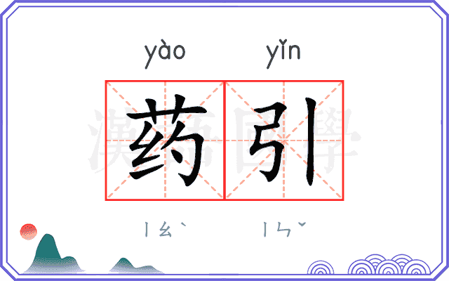 药引