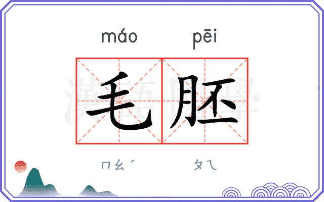 毛胚