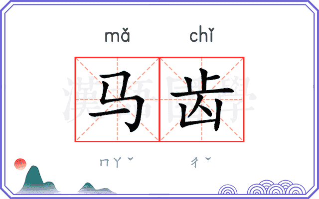 马齿