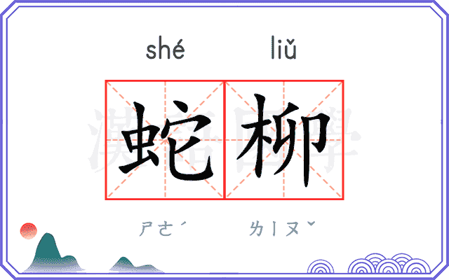 蛇柳