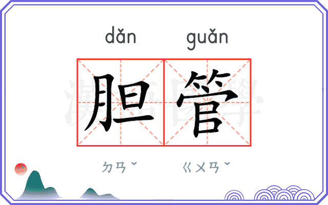 胆管