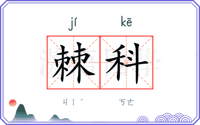 棘科