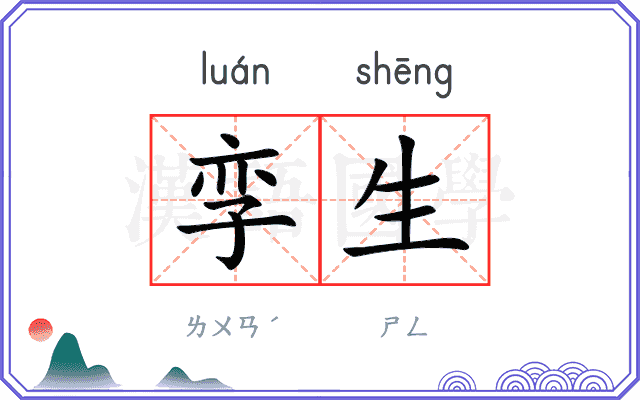 孪生