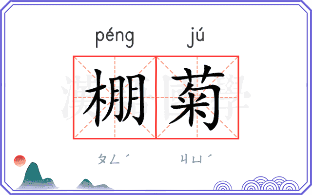 棚菊