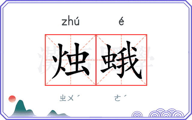 烛蛾
