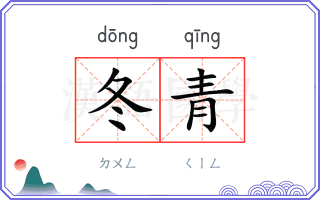 冬青