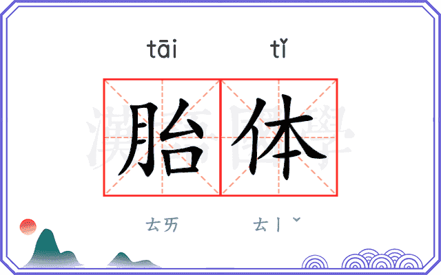 胎体
