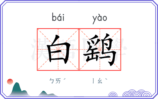 白鹞
