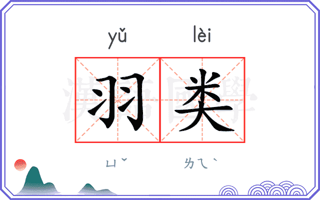 羽类