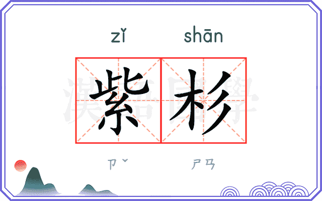 紫杉