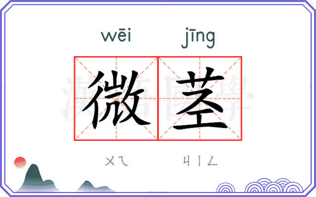 微茎
