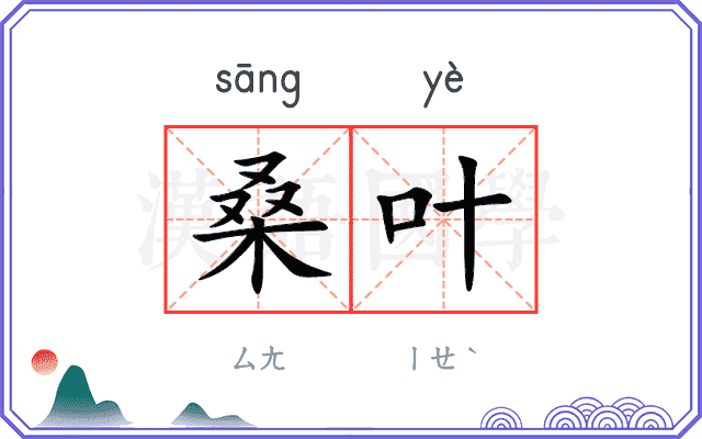 桑叶