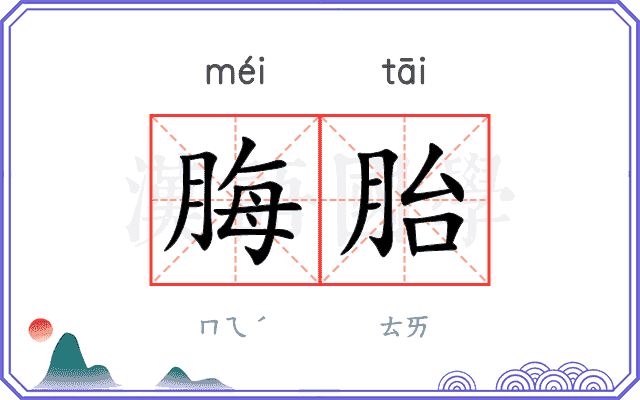 脢胎