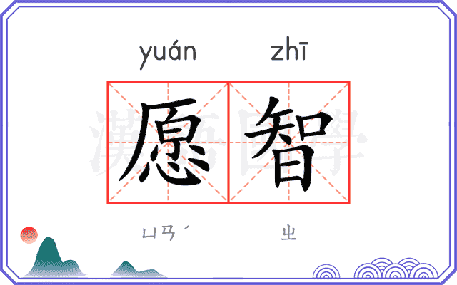 愿智