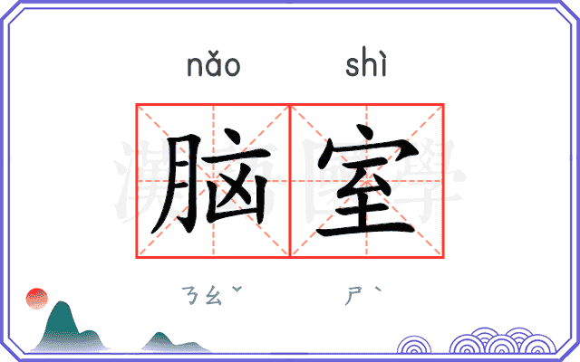 脑室