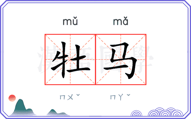 牡马