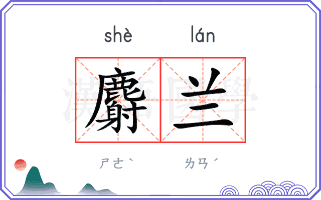 麝兰