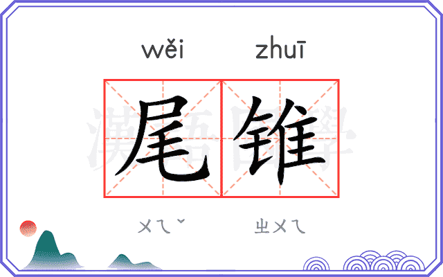尾锥