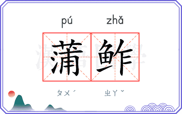 蒲鲊