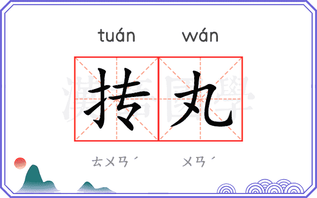 抟丸