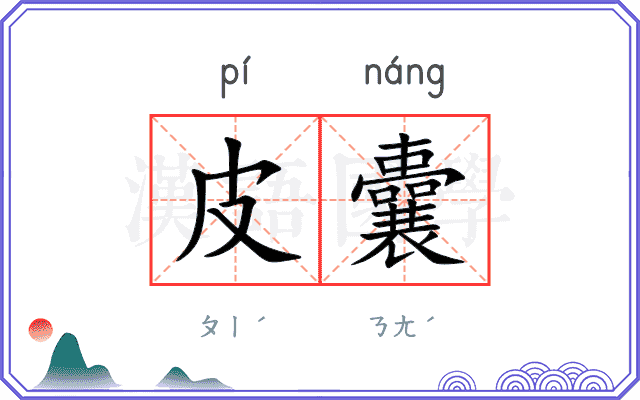 皮囊
