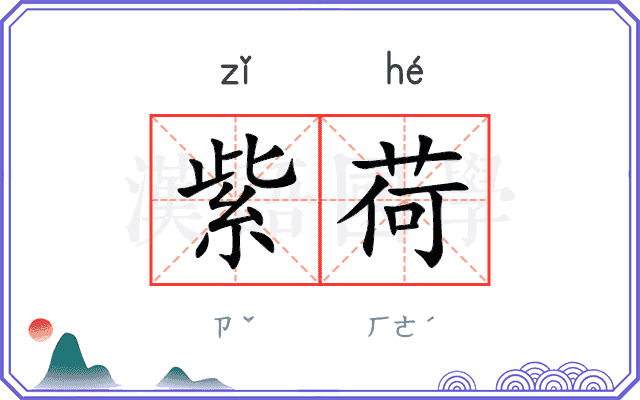 紫荷
