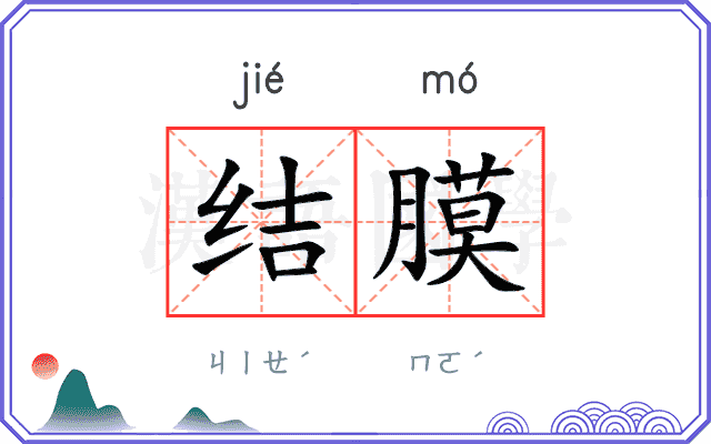 结膜