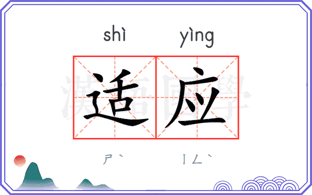 适应