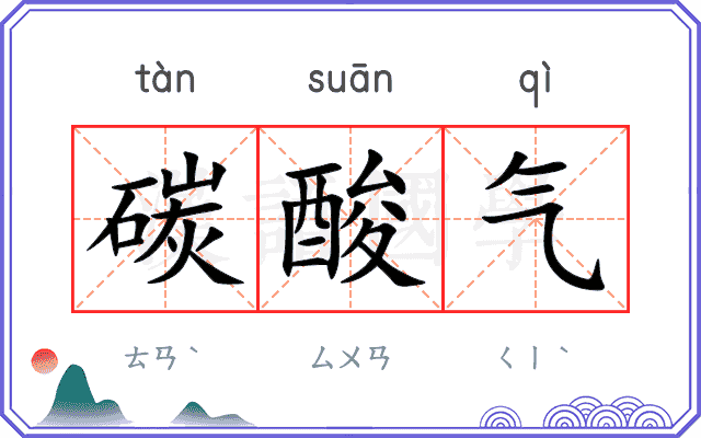 碳酸气