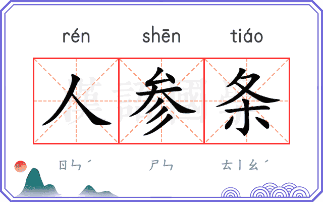 人参条