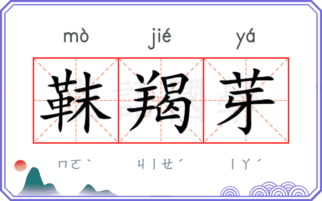靺羯芽