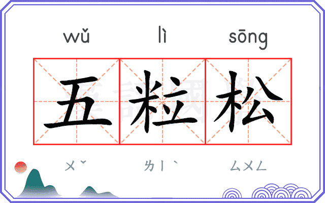 五粒松