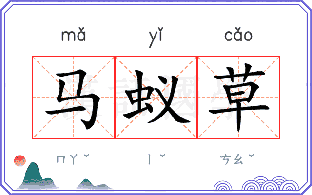 马蚁草