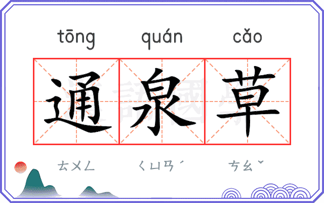 通泉草