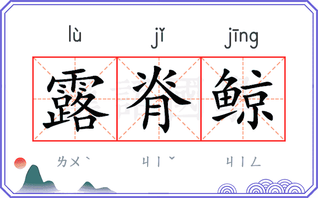 露脊鲸