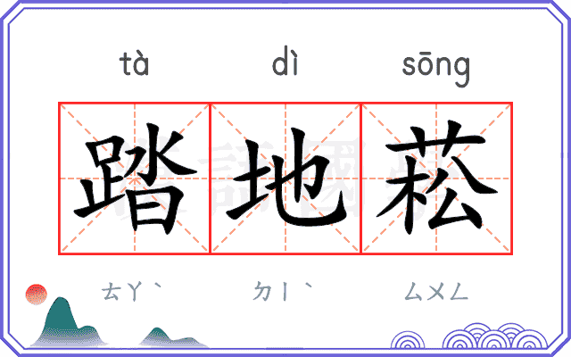 踏地菘