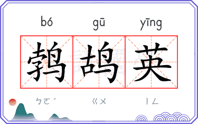 鹁鸪英