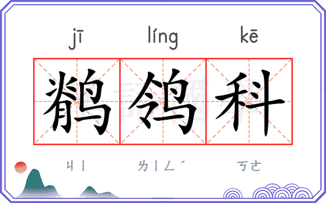鹡鸰科