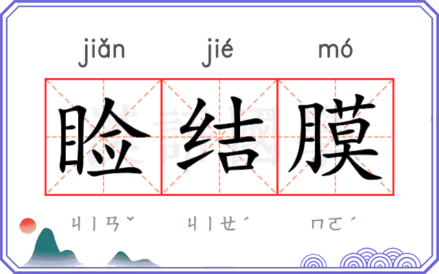 睑结膜