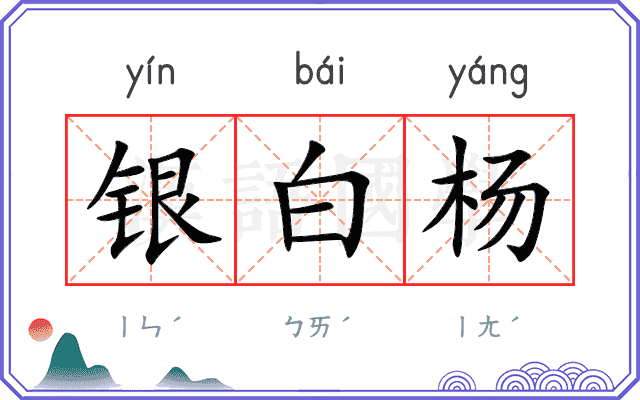 银白杨
