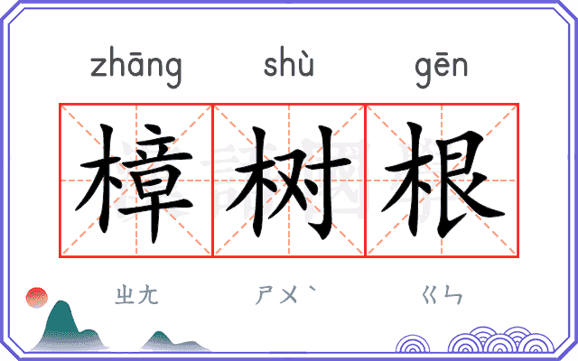 樟树根