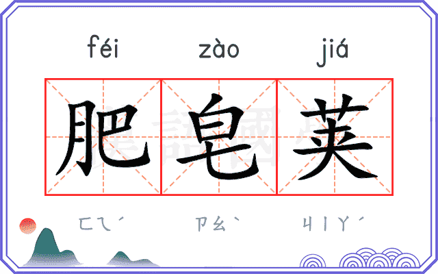 肥皂荚